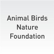 Animal Birds Nature Foundation