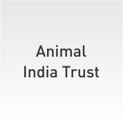 Animal India Trust