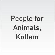People For Animals, Kollam