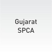 SPCA Gujarat