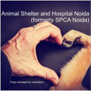 Noida Animal Shelter