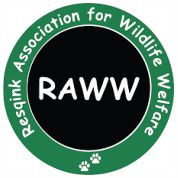 Resqink Association for Wildlife Welfare (RAWW)