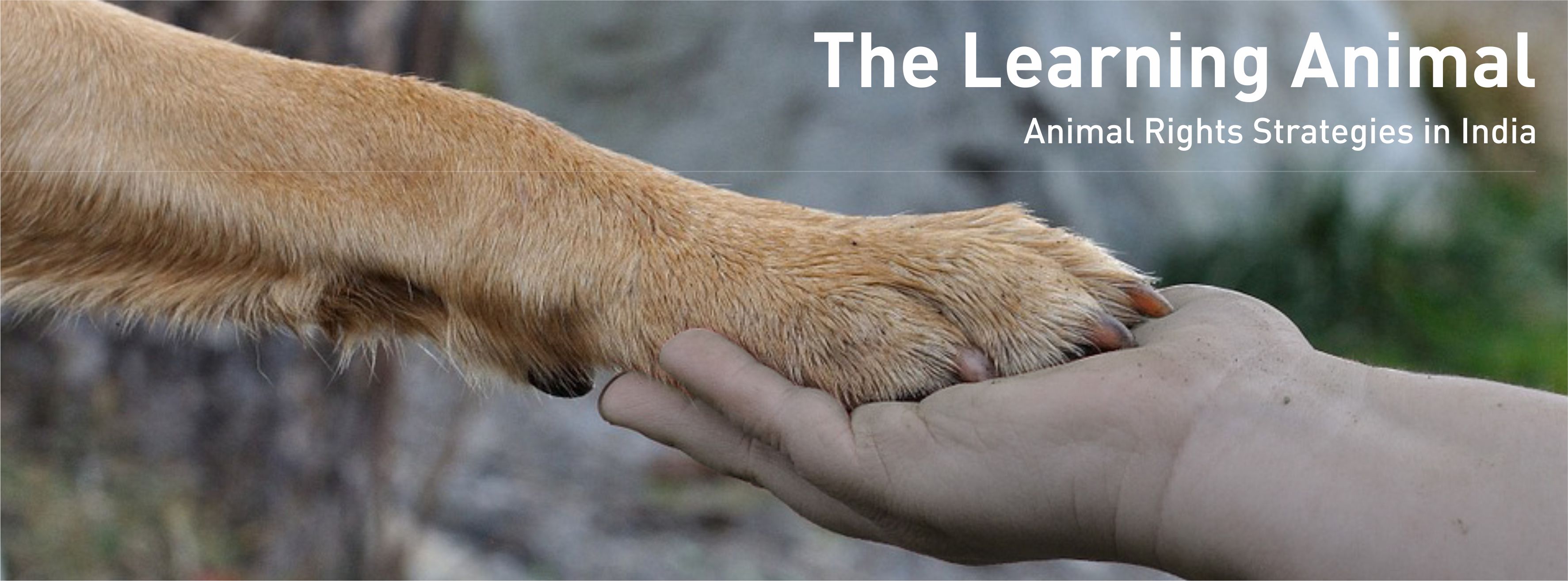 The Learning Animal - Federation of Indian Animal Protection Organisations