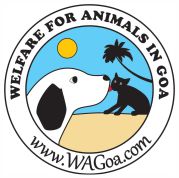 Welfare for Animals in Goa (WAG) Trust