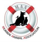 Mumbai Animal Association(MAA)
