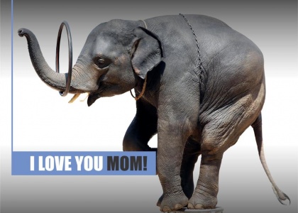 I Love You MOM!