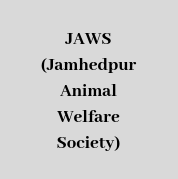 JAWS (Jamhedpur Animal Welfare Society)