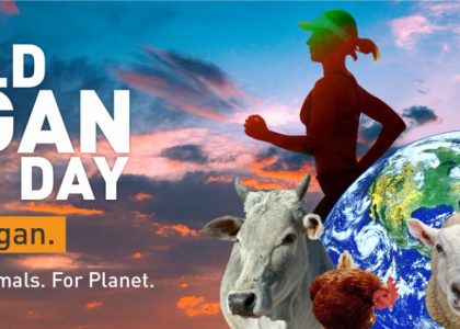 World Vegan Day 2020: Experts Busts 6 Common Myths About Veganism