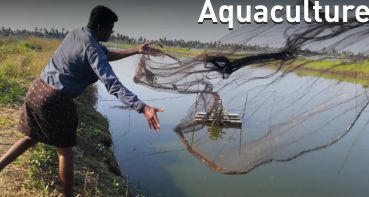 #Aquaculture
